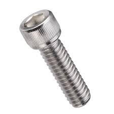 Stainless Steel Bolt